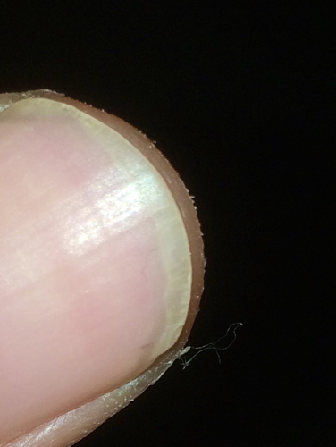 熊猫体育首页:原创 名记:足协原定国足新帅,非热门人选,被总局否定,1人有望接任(图1) 熊猫体育