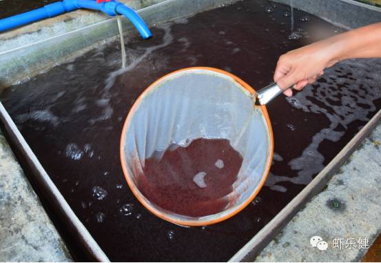 ‘熊猫体育’海上踢球!中国首座海上球场在青岛表态 足球场与篮球场可无缝转换(图2) 熊猫体育首页