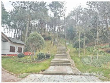 中国足协宣布与卡马乔就终止合作达成共识-熊猫体育(图3) 熊猫体育