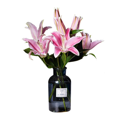 恒大一优势辗压上港 国脚压力大属于自己吓自己:熊猫体育首页(图2) 熊猫体育公司