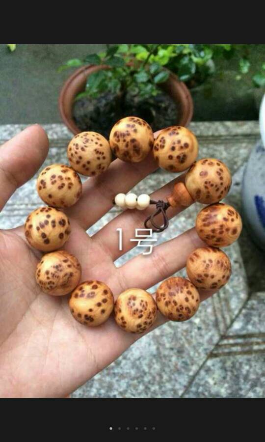 熊猫体育-孙卫:国奥实力绝不应输三球 惨败不改出线目标(图2) 熊猫体育公司