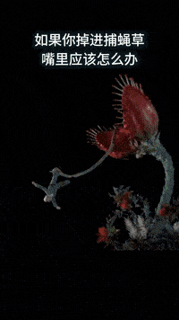 闲着无聊看看球场大长腿玉人热舞:这舞姿打几分?|熊猫体育(图15)
闲着无聊看看球场大长腿玉人热舞:这舞姿打几分?|熊猫体育(图15)