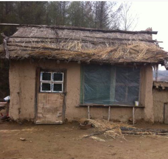 茅台直播专场来了!京东直播推出超级直播日【熊猫体育】(图4) 熊猫体育首页