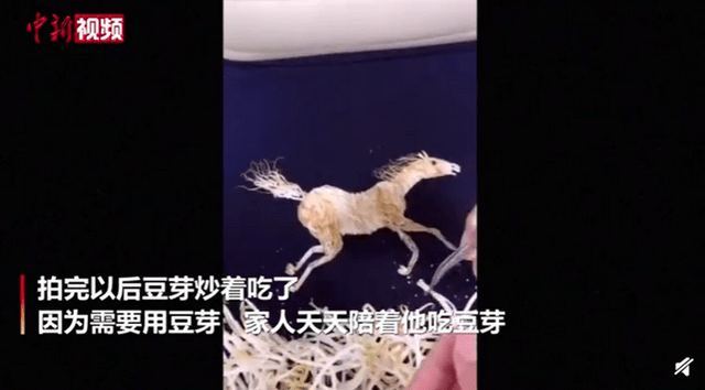 熊猫体育公司|
厉害！学校厨师用芽菜制作动画片(图7)