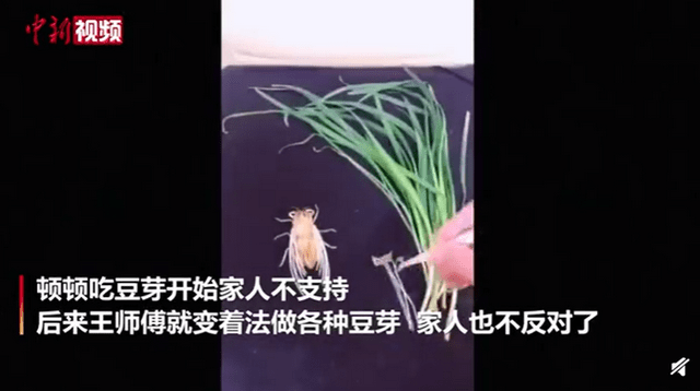 熊猫体育公司|
厉害！学校厨师用芽菜制作动画片(图8)