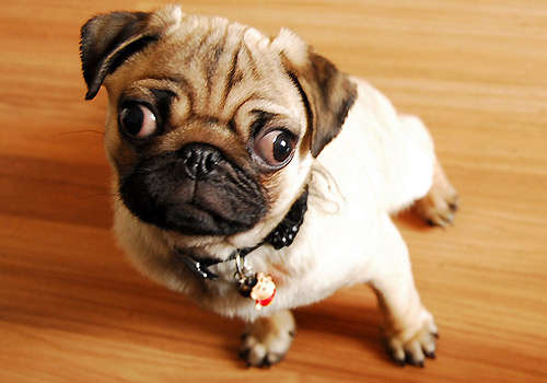 时尚型男都在穿!以卡其裤为主轴 搭配出质感与潮水兼具的品味【熊猫体育】(图1) 熊猫体育