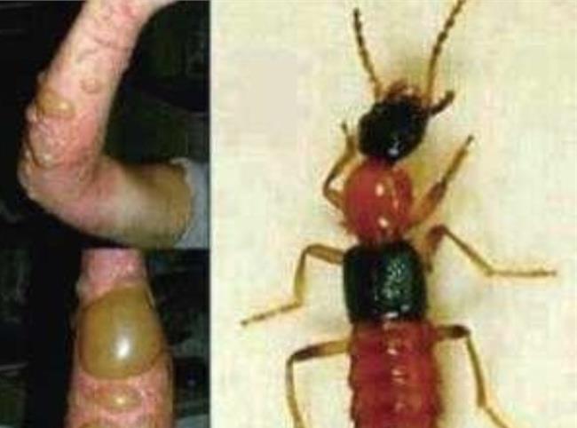 熊猫体育公司-颜强读品:善待贝尼特斯,他会成为中国足球的财富(图2) 熊猫体育公司