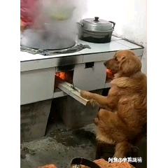 熊猫体育公司|
【排行榜】鞋贩狂喜?史上转售价钱最贵的球鞋!第一名是Dunk?(图1) 熊猫体育首页